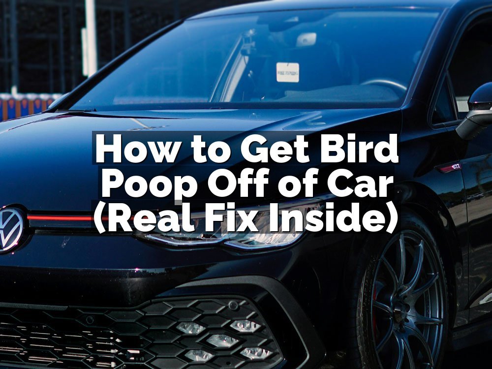 How to Get Bird Poop Off of Car (Real Fix Inside)